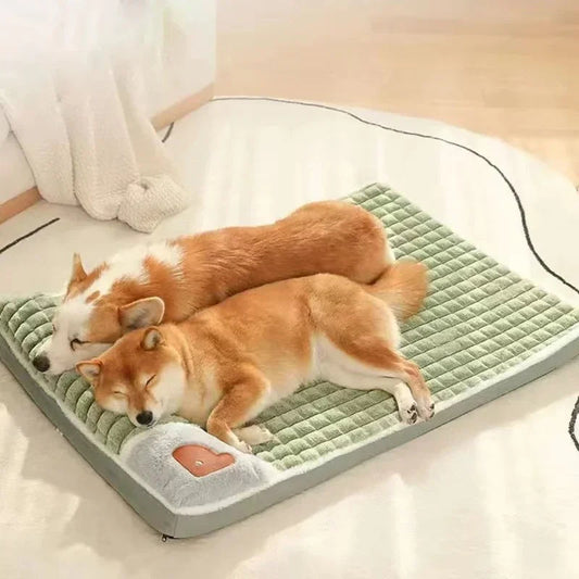 Letto Ortopedico PAWSOMNIA per Cani e Gatti - Memory Foam