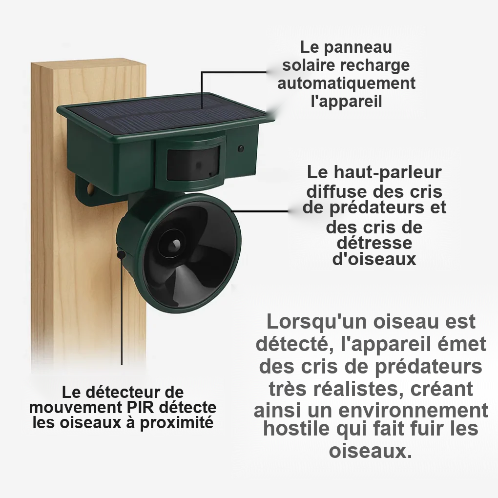 Répulsif Solaire Intelligent Pour Pigeons Avec Détection De Mouvement