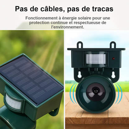 Répulsif Solaire Intelligent Pour Pigeons Avec Détection De Mouvement