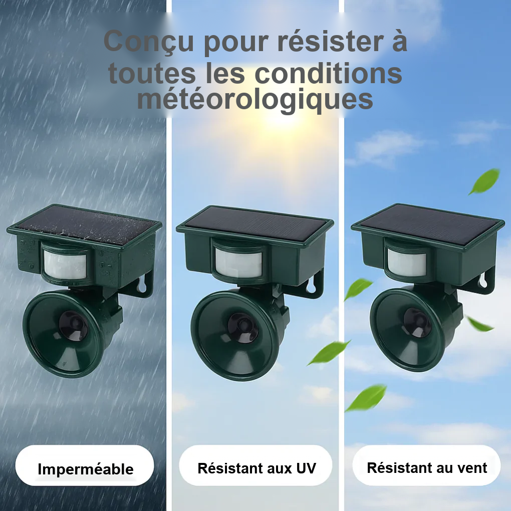 Répulsif Solaire Intelligent Pour Pigeons Avec Détection De Mouvement