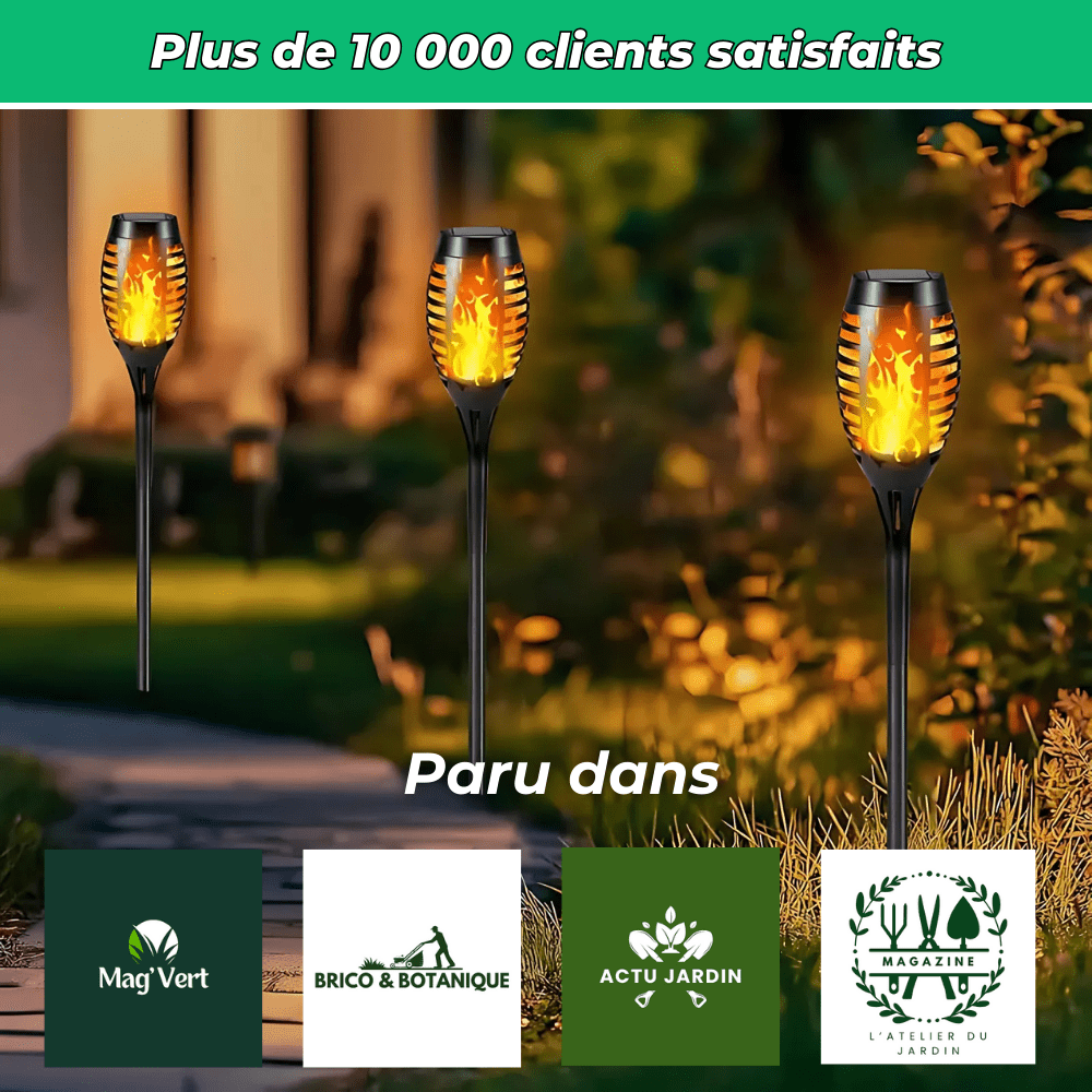 Flaméo terrasse soir