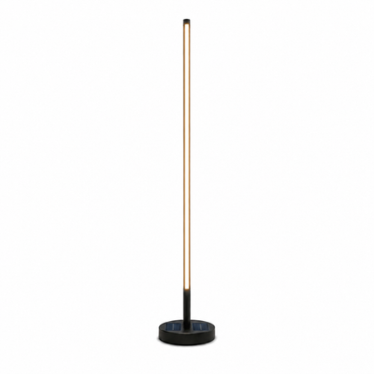 Lampadaire Extérieur Moderne avec Chargement Solaire