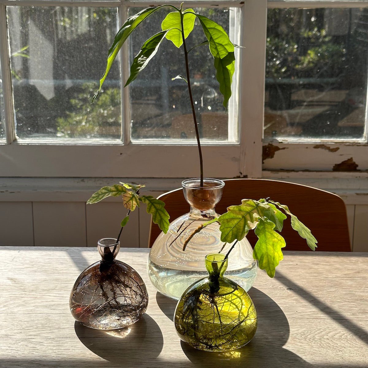 Vase Acorn ambiance déco