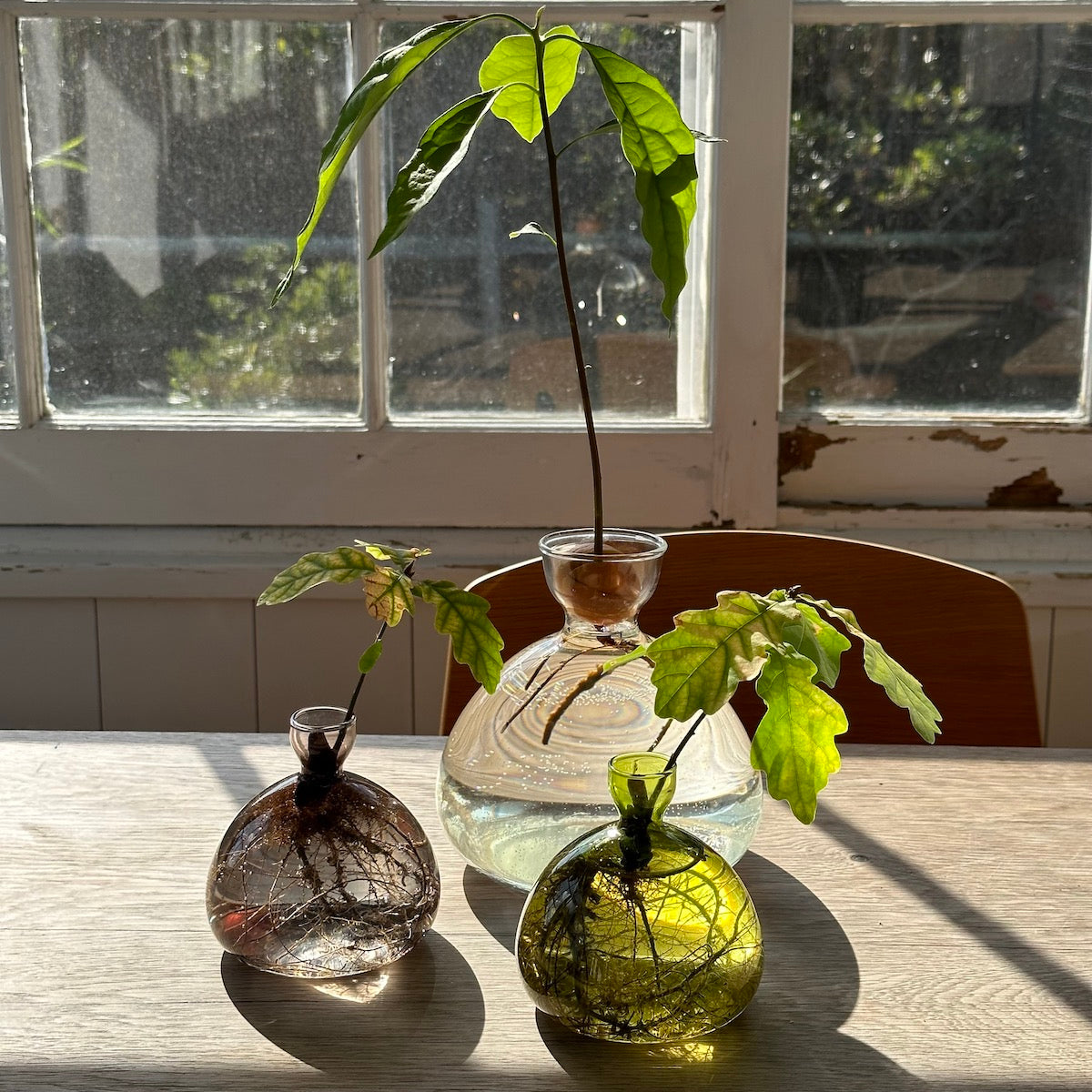 Vase Acorn ambiance déco