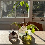 Vase Acorn ambiance déco