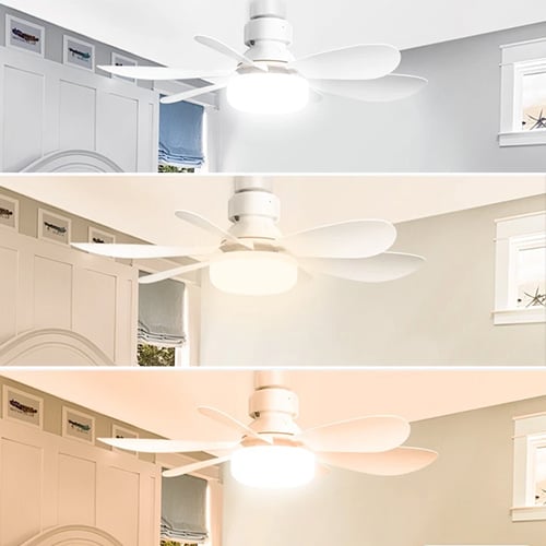 BriseLux - Ventilateur Plafond 2 en 1 avec Éclairage Réglable