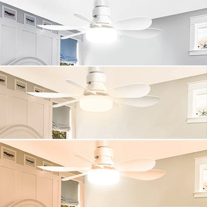 BriseLux - Ventilateur Plafond 2 en 1 avec Éclairage Réglable