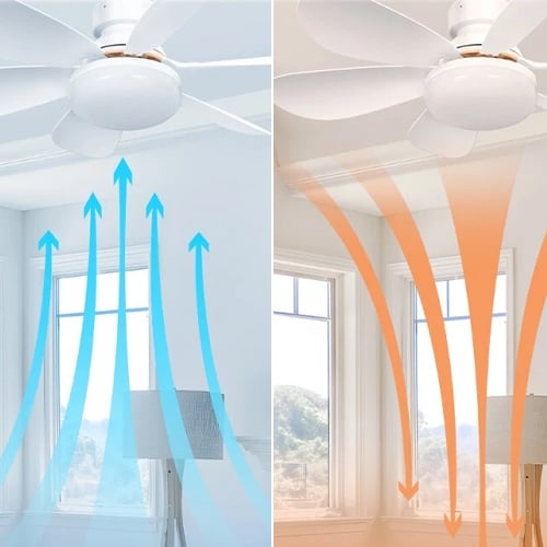 BriseLux - Ventilateur Plafond 2 en 1 avec Éclairage Réglable