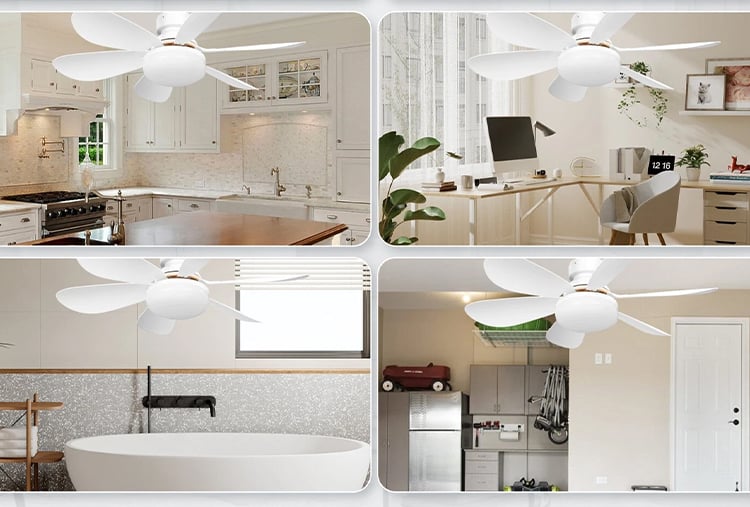 BriseLux - Ventilateur Plafond 2 en 1 avec Éclairage Réglable