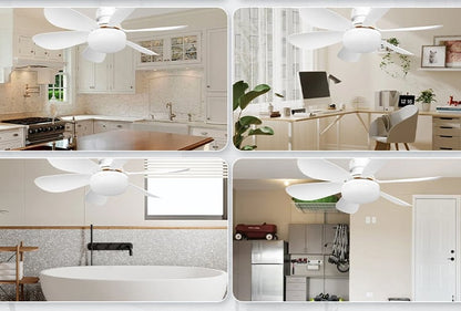 BriseLux - Ventilateur Plafond 2 en 1 avec Éclairage Réglable