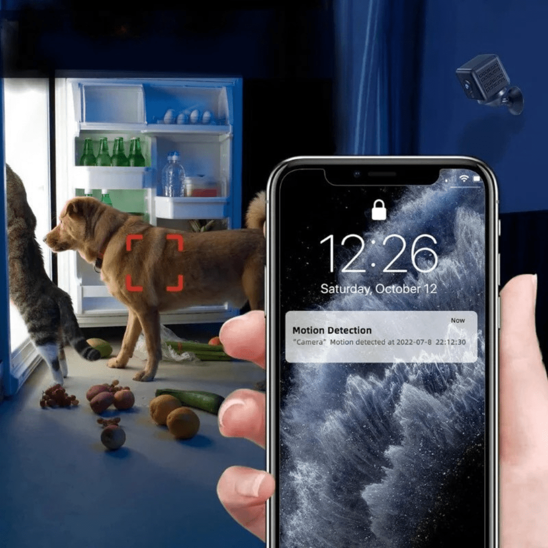 Telecamera di sorveglianza WiFi 1080P senza fili con visione notturna