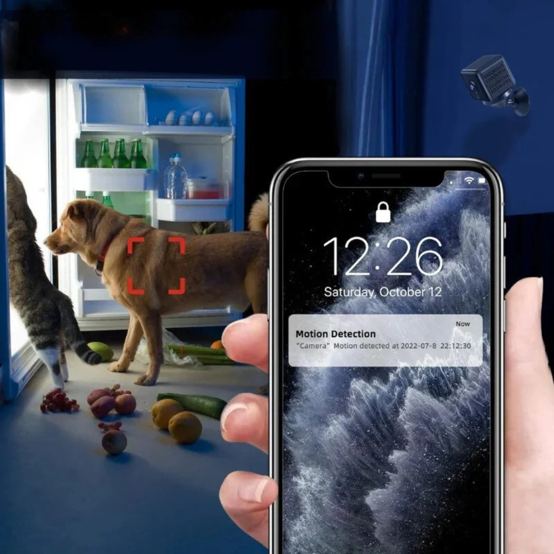 Caméra de Surveillance WiFi 1080P Sans Fil avec Vision Nocturne