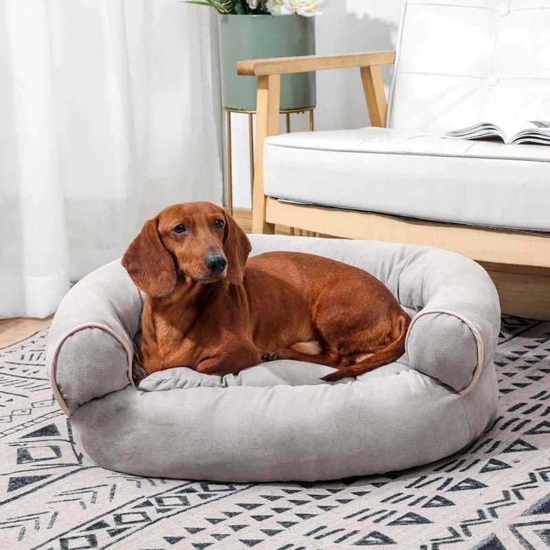 Divano ortopedico morbido e resistente per cani - CalmPaw