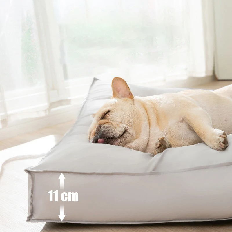 Coussin Orthopédique pour Chiens - Soutien Imperméable FlexiRest