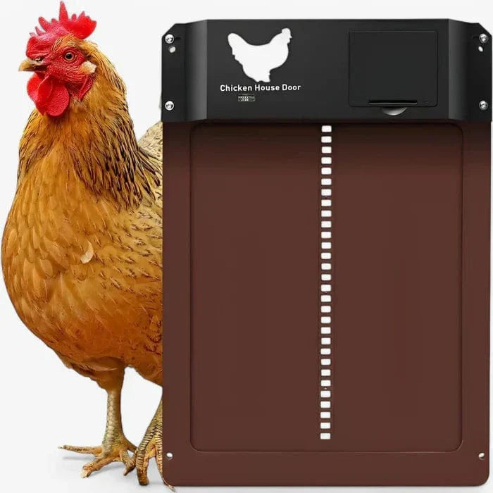 Obsetic Porte Poulailler Automatique Marron