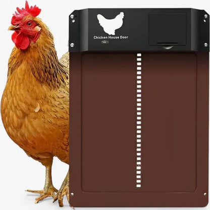 Obsetic Porte Poulailler Automatique Marron