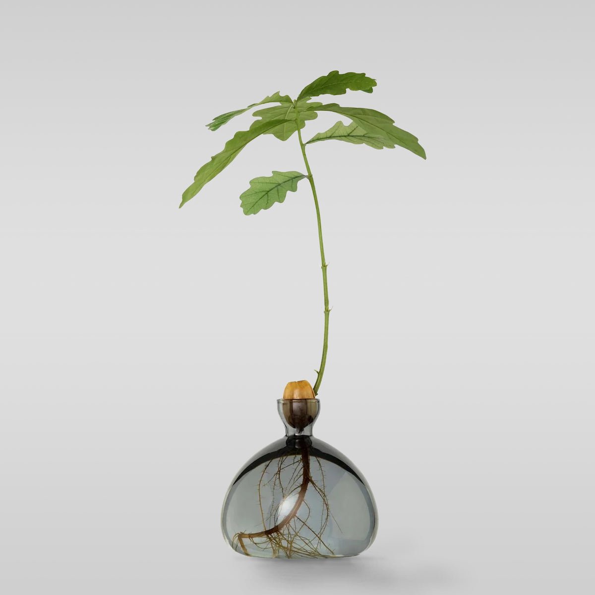 Ilex Studio Vase Gland Gris fumé