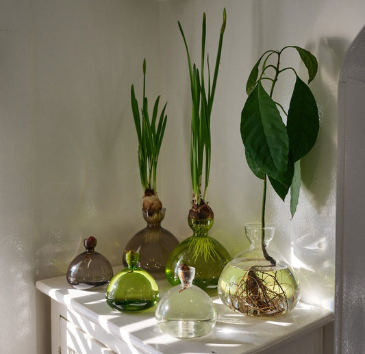 Ilex Studio vases Acorn et Avocat