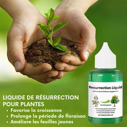PlantVital - Liquide Revitalisant pour Plantes - Croissance Rapide et Résultats Visibles