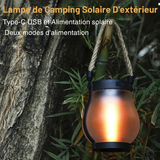 Fire Seed Buiten Solar Lamp - Solar Verlichting met Vlamillusie