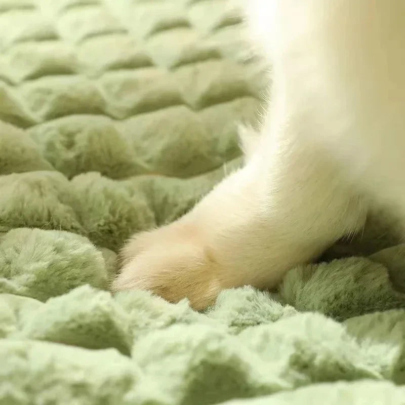 Letto Ortopedico PAWSOMNIA per Cani e Gatti - Memory Foam
