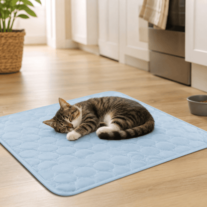 Lit Rafraîchissant Extra Large pour Chiens et Chats - Confort Optimal