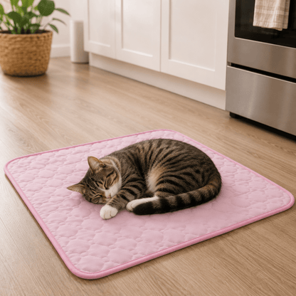 Lit Rafraîchissant Extra Large pour Chiens et Chats - Confort Optimal