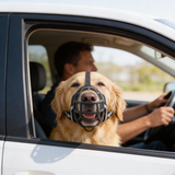 Muselière Confortable pour Chien - Ajustable et Respirante