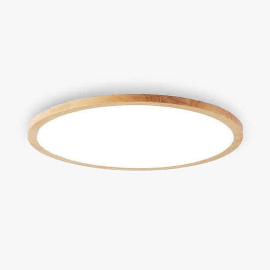 Plafoniera LED Minimalista Dimmerabile per Ambiente Personalizzato