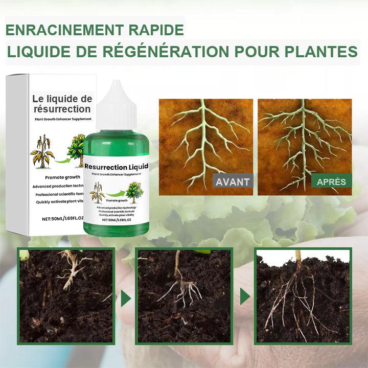 PlantVital - Liquide Revitalisant pour Plantes - Croissance Rapide et Résultats Visibles