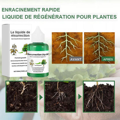 PlantVital - Liquide Revitalisant pour Plantes - Croissance Rapide et Résultats Visibles