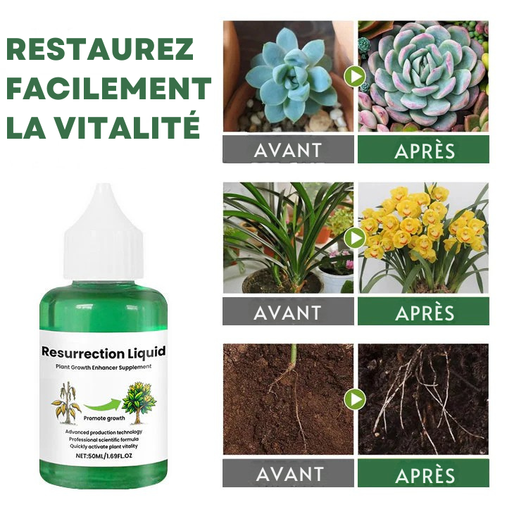 PlantVital - Liquide Revitalisant pour Plantes - Croissance Rapide et Résultats Visibles