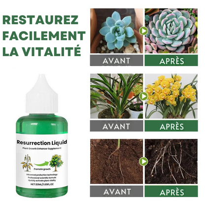 PlantVital - Liquide Revitalisant pour Plantes - Croissance Rapide et Résultats Visibles