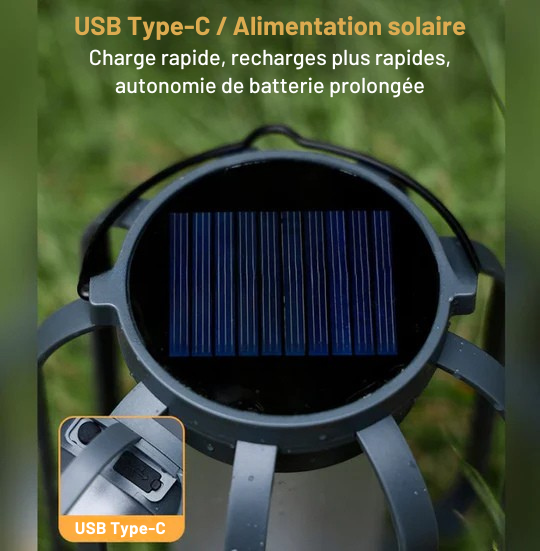 Fire Seed Buiten Solar Lamp - Solar Verlichting met Vlamillusie