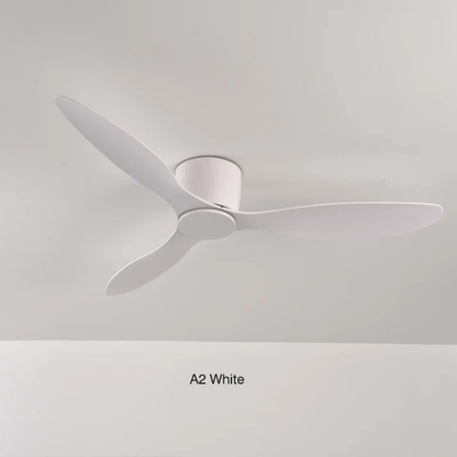 Ventilateur Plafond Silencieux Avec Télécommande - Design Moderne 42