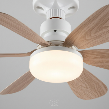 Ventilateur Plafond Silencieux OCS avec Éclairage LED Dimmable et Télécommande