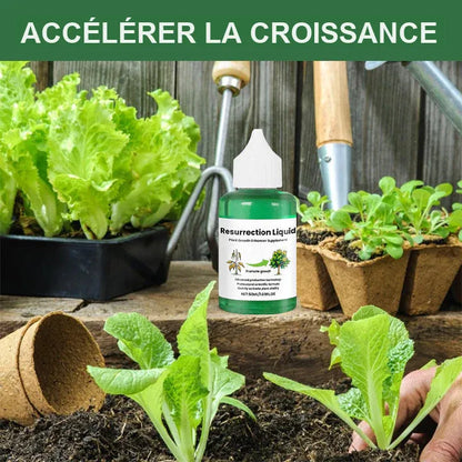 PlantVital - Liquide Revitalisant pour Plantes - Croissance Rapide et Résultats Visibles
