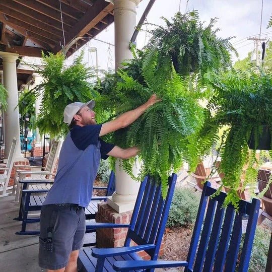 Plante artificielle résistante UV extérieure