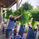 Plante artificielle résistante UV extérieure