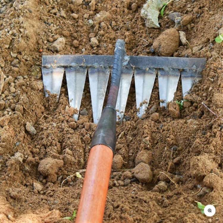 LawnLiberator pelouse propre