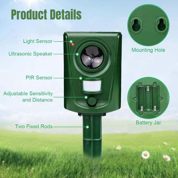 Wild Eye capteur PIR